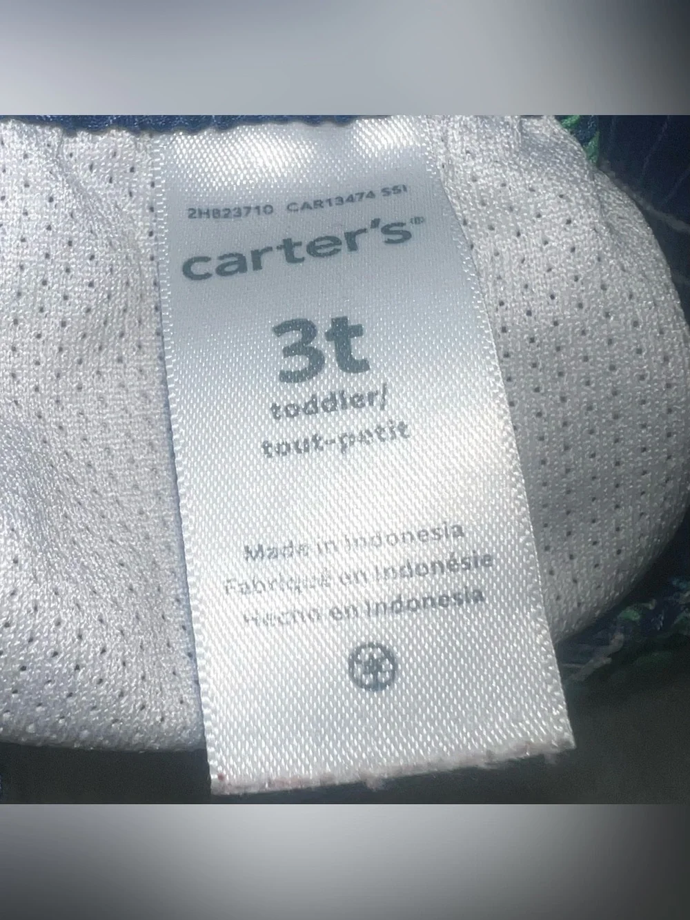 Carter’s Toddler Swim Trunks Toddler Swim Shorts Swimsuit Kids Boys Dino Blue 3T